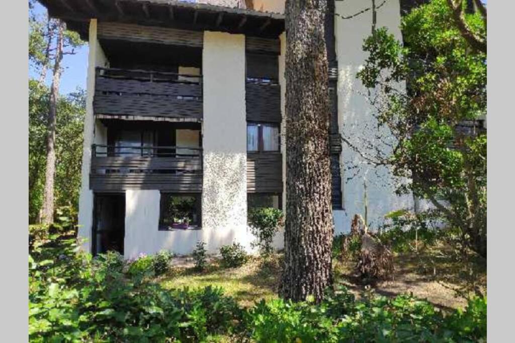 Appt Seignosse Le Penon - Plages Commerces A Pied Zewnętrze zdjęcie